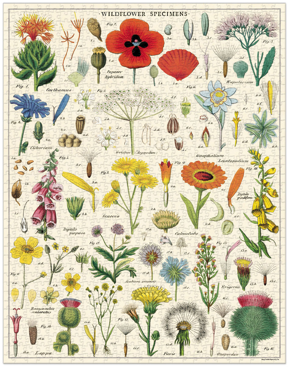 Cavallini - 1000 Pc Puzzle Wildflowers - Bobangles