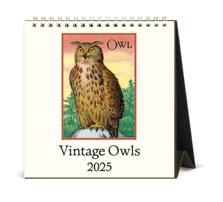 Cavallini 2025 Desk Calendar Vintage Owls Bobangles